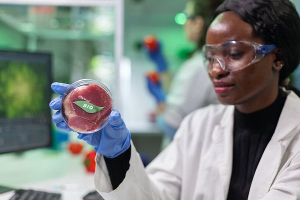 Quelles stratégies marketing utiliser pour un restaurant végétarien dans une zone urbaine ?